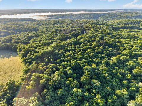 Tiny photo for 4 Blackwell Heights Road, Blackwell, MO 63626 (MLS # 26030412)