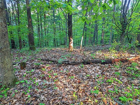 Tiny photo for 4 Blackwell Heights Road, Blackwell, MO 63626 (MLS # 26030412)