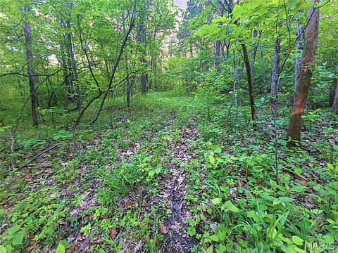 Tiny photo for 4 Blackwell Heights Road, Blackwell, MO 63626 (MLS # 26030412)