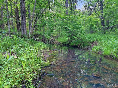 Tiny photo for 4 Blackwell Heights Road, Blackwell, MO 63626 (MLS # 26030412)