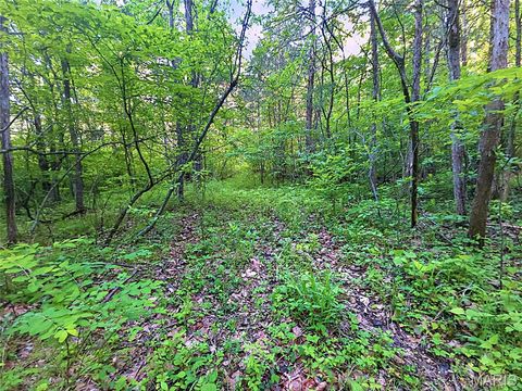 Tiny photo for 4 Blackwell Heights Road, Blackwell, MO 63626 (MLS # 26030412)