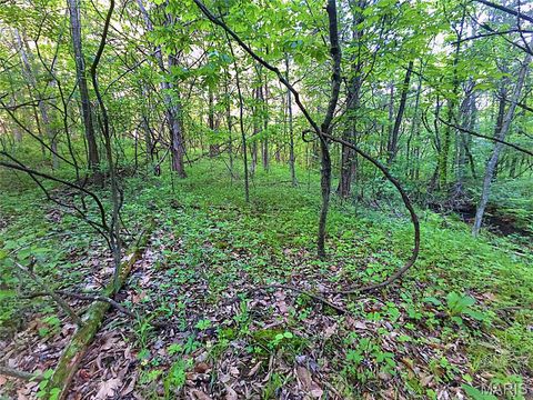 Tiny photo for 4 Blackwell Heights Road, Blackwell, MO 63626 (MLS # 26030412)