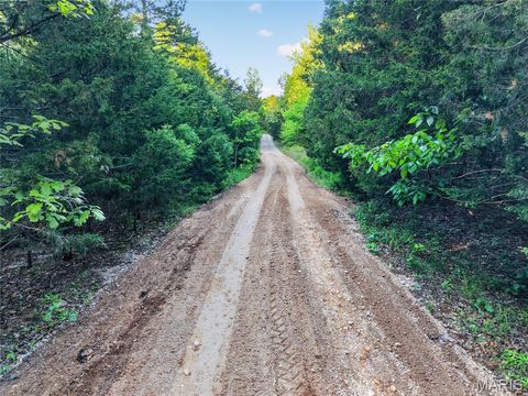 Tiny photo for 4 Blackwell Heights Road, Blackwell, MO 63626 (MLS # 26030412)