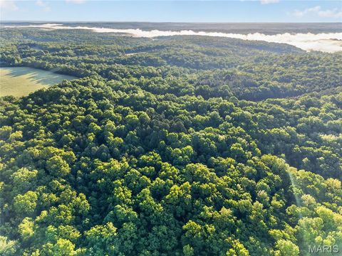 Tiny photo for 4 Blackwell Heights Road, Blackwell, MO 63626 (MLS # 26030412)
