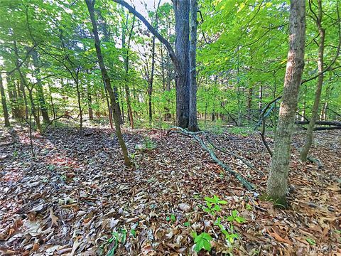 Tiny photo for 4 Blackwell Heights Road, Blackwell, MO 63626 (MLS # 26030412)