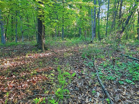 Tiny photo for 4 Blackwell Heights Road, Blackwell, MO 63626 (MLS # 26030412)