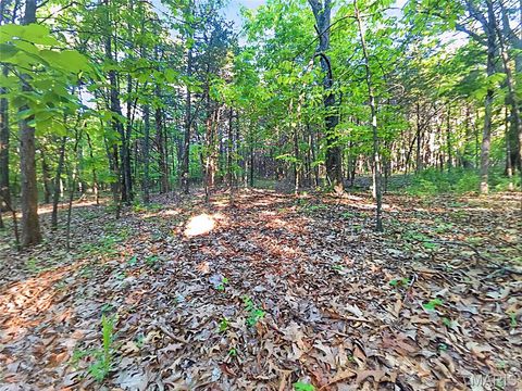Tiny photo for 4 Blackwell Heights Road, Blackwell, MO 63626 (MLS # 26030412)