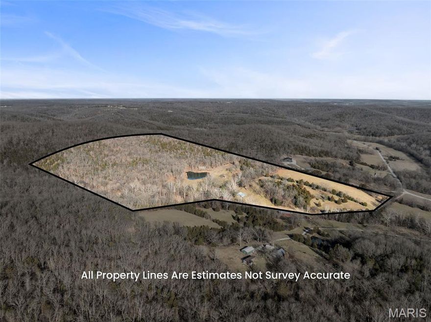 THE KIND OF PROPERTY YOU DIDN'T BUY LAST TIME AND YOU STILL DREAM OF IT EVERYDAY! This surveyed UNRESTRICTED 65+ acre dream property is just an hour outside of St. Louis located in the rolling hills of Rhineland. Perfect property for abundant hunting, recreation get away or build your dream home over looking the 1.5 acre lake with dock (newer paddleboat included), stocked with bass, blue gill, grass carp and more.  This mostly wooded property gives ample privacy, tucked back off the road and offers a rustic but functional hunting cabin, huge barn with electric, water, a beautiful newer detached metal garage with concrete floors and additional equipment shed with electric. Some open pasture perfect for cattle or horses.  You'll love exploring with a wet weather creek and an amazing natural rock formation cliff wall.  You'll create memories of a lifetime on this property! Several options for building sites perfect to make this your forever home, with easy access to main road. Located minutes from Grand Bluff Conservation area offering scenic overlook, hiking, and wildlife adjacent to the Katy Trail below the bluffs. Weekend shopping, wine country, entertainment and restaurants in near by Hermann, MO for convenience.  Don't regret not buying this gem!  Seller is selling property as-is with cabin contents, some equipment. Listing agent must be present for showings. Locked gate. Please make appointment.