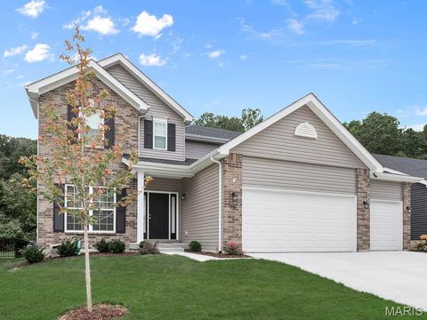 576 Evening Primrose Drive Wentzville MO 63385