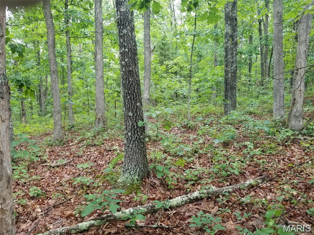 Lots 13 & 14 Hickory Ridge