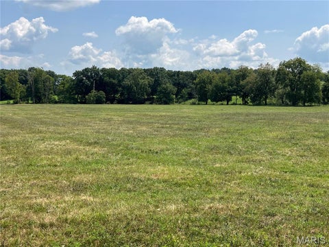 Tiny photo for 16 acres m/l on Hwy D, Eolia, MO 63344 (MLS # 26051311)