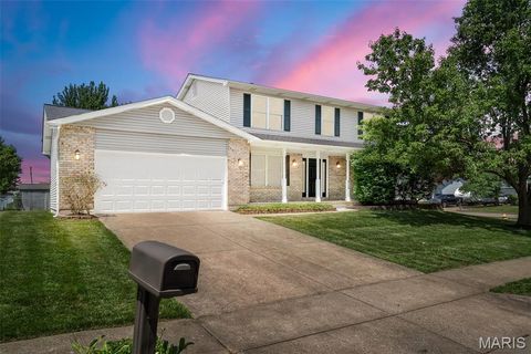 Photo of 915 Hunter Chaise Drive, Wentzville, MO 63385 (MLS # 26032339)