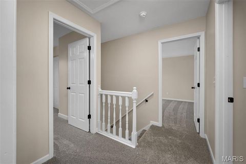 Tiny photo for 915 Hunter Chaise Drive, Wentzville, MO 63385 (MLS # 26032339)