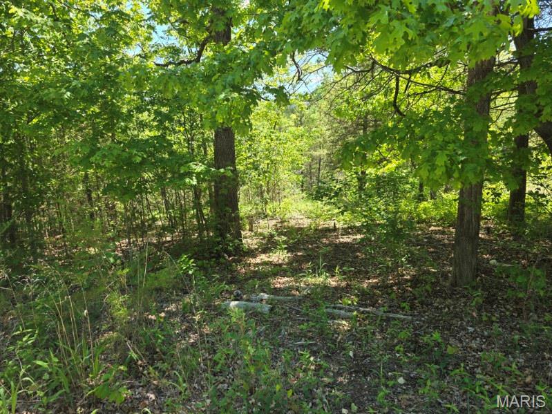 Raintree Plantation Sec 25 - Land