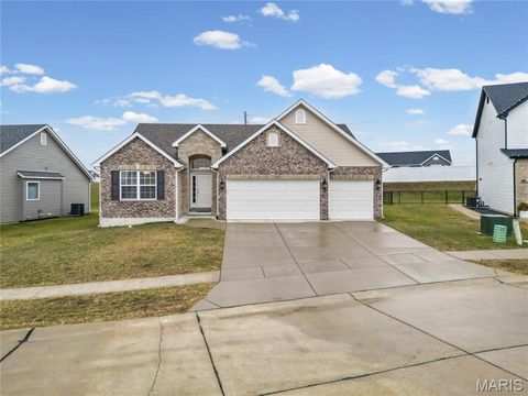 1868 Sunset Ridge Festus MO 63028