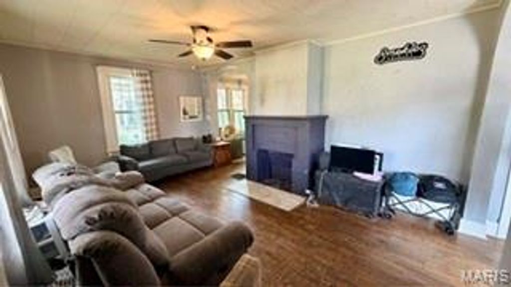 Photo of 315 W Parker Avenue, Chaffee, MO 63740 (MLS # 26026208)