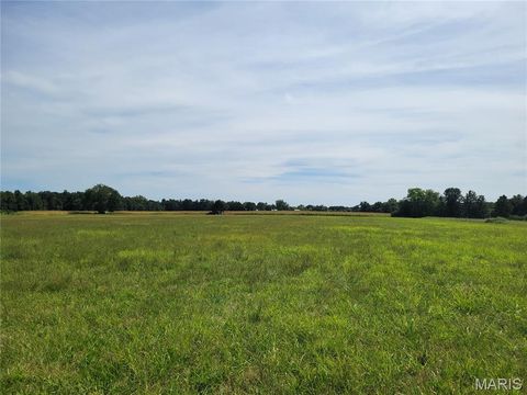 Tiny photo for 10 Highway KK, Troy, MO 63379 (MLS # 25061546)
