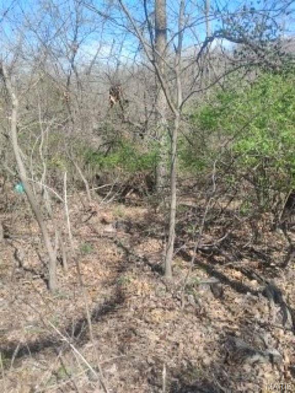 Lakeland Retreat - Land