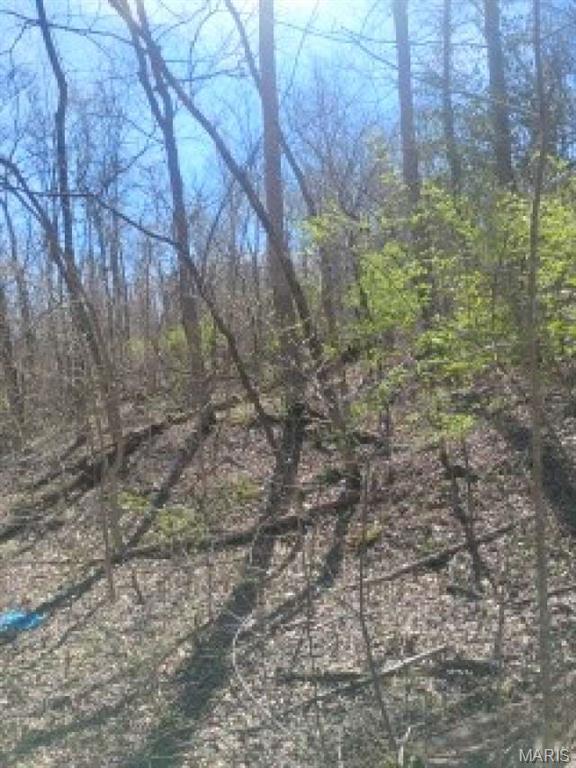 Lakeland Retreat - Land