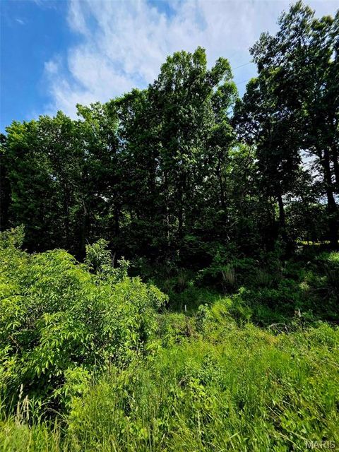 Tiny photo for 00 Neill Drive, Wright City, MO 63390 (MLS # 26030649)