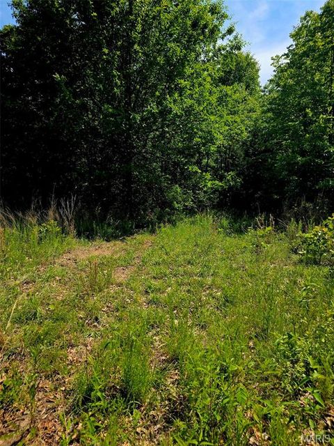 Tiny photo for 00 Neill Drive, Wright City, MO 63390 (MLS # 26030649)