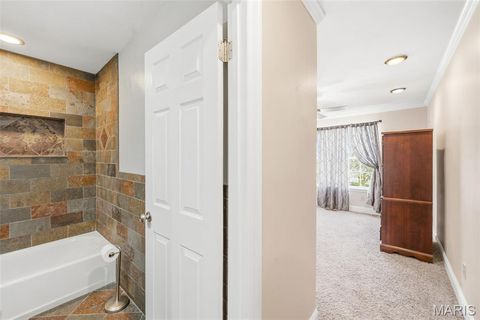 Tiny photo for 689 Sugar Trail Court #1, St Peters, MO 63376 (MLS # 26030724)