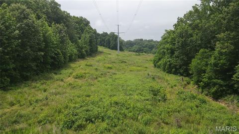 Tiny photo for 101 County Road 389, Whitewater, MO 63785 (MLS # 26033854)