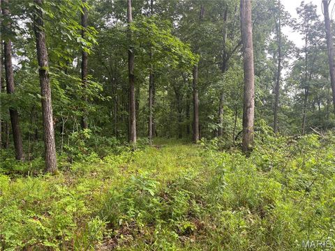Tiny photo for 101 County Road 389, Whitewater, MO 63785 (MLS # 26033854)