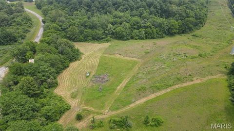 Photo of 101 County Road 389, Whitewater, MO 63785 (MLS # 26033854)