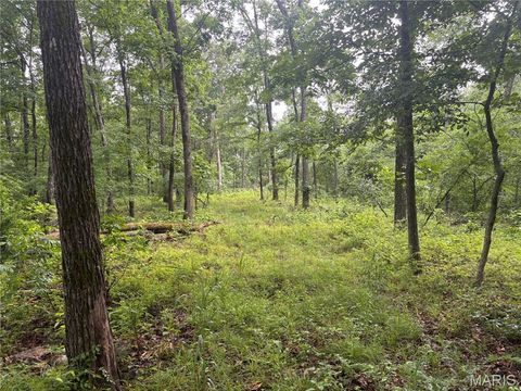 Tiny photo for 101 County Road 389, Whitewater, MO 63785 (MLS # 26033854)