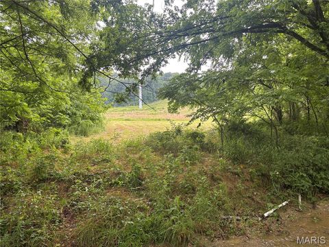 Tiny photo for 101 County Road 389, Whitewater, MO 63785 (MLS # 26033854)