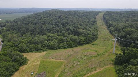 Tiny photo for 101 County Road 389, Whitewater, MO 63785 (MLS # 26033854)