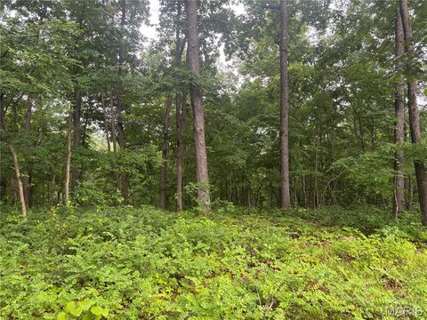 Tiny photo for 101 County Road 389, Whitewater, MO 63785 (MLS # 26033854)