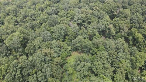 Tiny photo for 101 County Road 389, Whitewater, MO 63785 (MLS # 26033854)