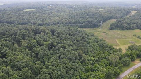 Tiny photo for 101 County Road 389, Whitewater, MO 63785 (MLS # 26033854)