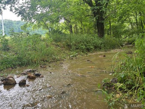 Tiny photo for 101 County Road 389, Whitewater, MO 63785 (MLS # 26033854)
