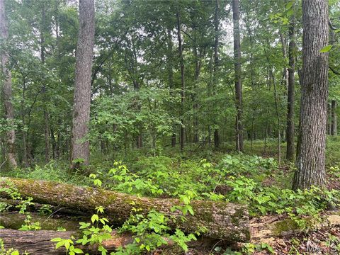 Tiny photo for 101 County Road 389, Whitewater, MO 63785 (MLS # 26033854)