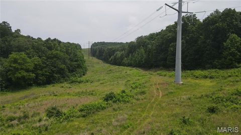 Tiny photo for 101 County Road 389, Whitewater, MO 63785 (MLS # 26033854)