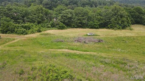 Tiny photo for 101 County Road 389, Whitewater, MO 63785 (MLS # 26033854)