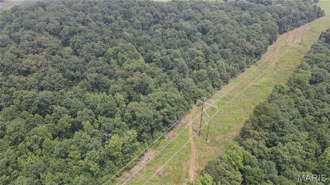 Tiny photo for 101 County Road 389, Whitewater, MO 63785 (MLS # 26033854)