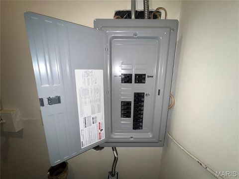 Tiny photo for 2611 Brannon Avenue, St Louis, MO 63139 (MLS # 26007710)