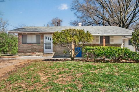 Photo of 739 Shepley Drive, St Louis, MO 63137 (MLS # 26018251)