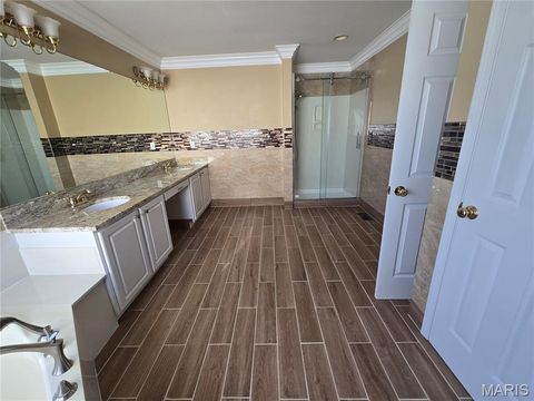 Tiny photo for 1102 Nooning Tree Drive, Chesterfield, MO 63017 (MLS # 25073792)