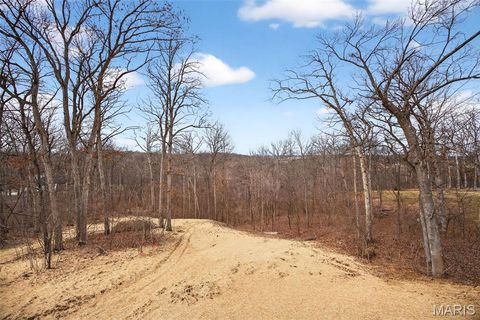 Tiny photo for 55 Lake Bend Drive, Winfield, MO 63389 (MLS # 26009155)