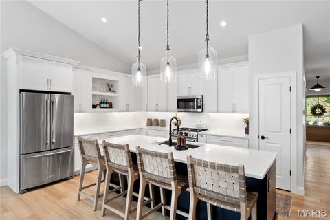 Tiny photo for 219 E Woodbine Avenue E, Kirkwood, MO 63122 (MLS # 25065771)