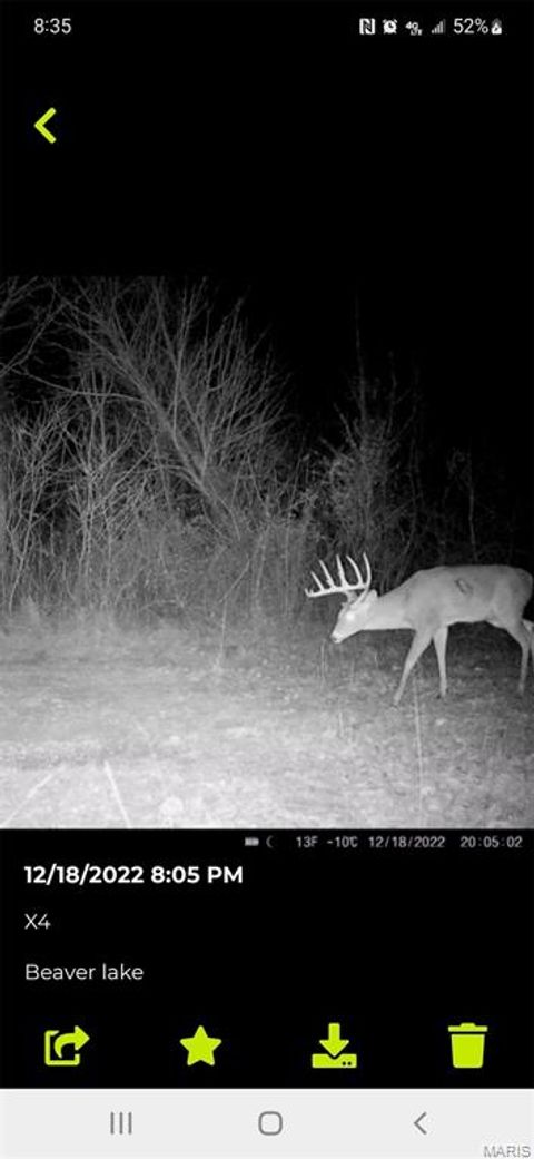Tiny photo for 0 Highway 51, Dudley, MO 63841 (MLS # 26012510)