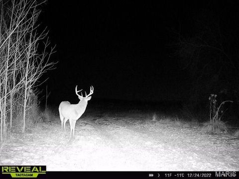 Tiny photo for 0 Highway 51, Dudley, MO 63841 (MLS # 26012510)