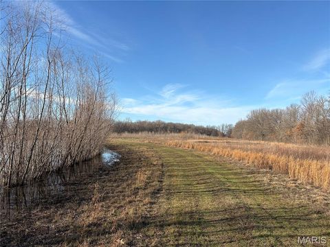 Tiny photo for 0 Highway 51, Dudley, MO 63841 (MLS # 26012510)