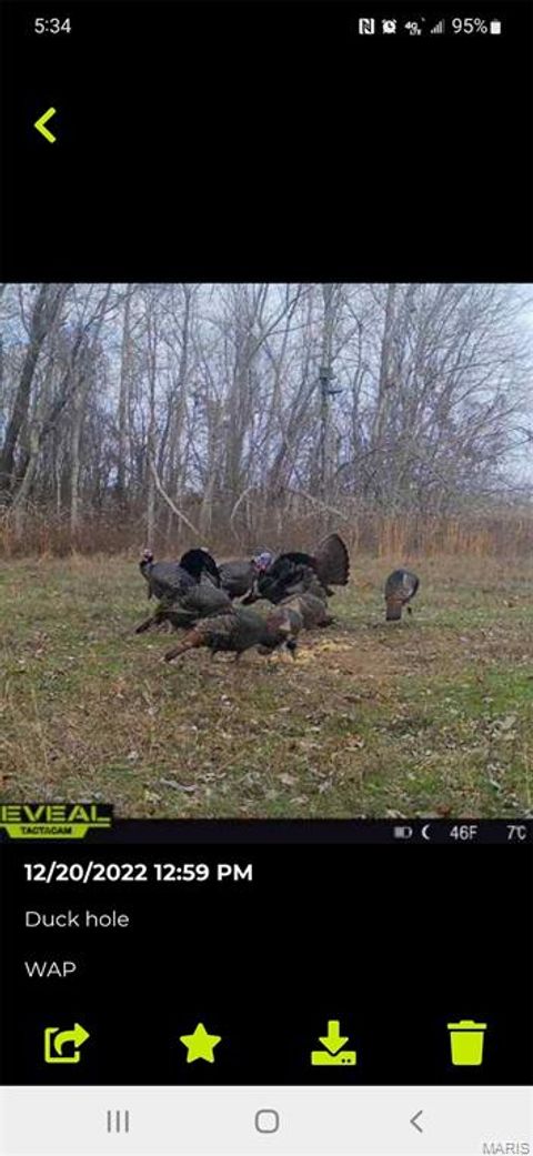 Tiny photo for 0 Highway 51, Dudley, MO 63841 (MLS # 26012510)