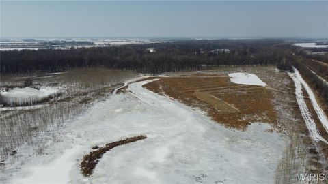 Tiny photo for 0 Highway 51, Dudley, MO 63841 (MLS # 26012510)